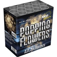 Nico Europe Popping Flowers 13-Schuss-Feuerwerk-Batterie