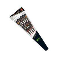 Blackboxx Best of Rockets 15-teiliges-Raketensortiment...