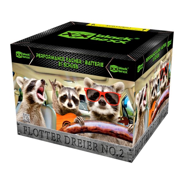 Blackboxx Flotter Dreier No.2 / 21-Schuss-Feuerwerk-Batterie