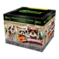 Blackboxx Flotter Dreier No.2 / 21-Schuss-Feuerwerk-Batterie