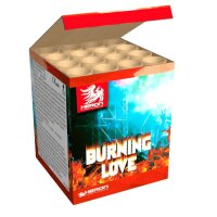Heron Burning Love 16-Schuss-Feuerwerk-Batterie