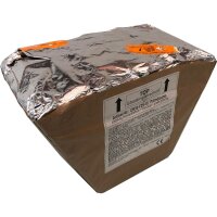 Pyrotrade Palmdreams Z-Shape 25-Schuss-Feuerwerk-Batterie