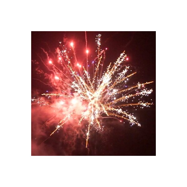 Blackboxx Colorful Taifun Palms 25-Schuss-Feuerwerk-Batterie (NUR ABHOLUNG)